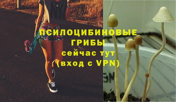 прущая мука Арсеньев