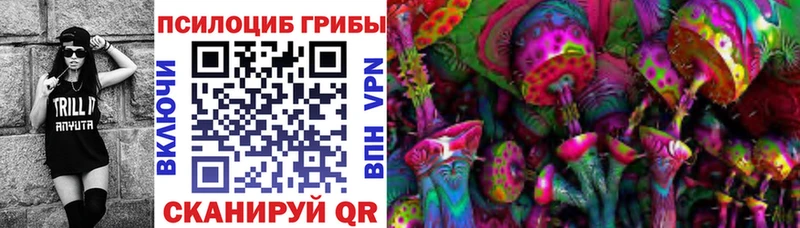 Галлюциногенные грибы Psilocybe  Курганинск 